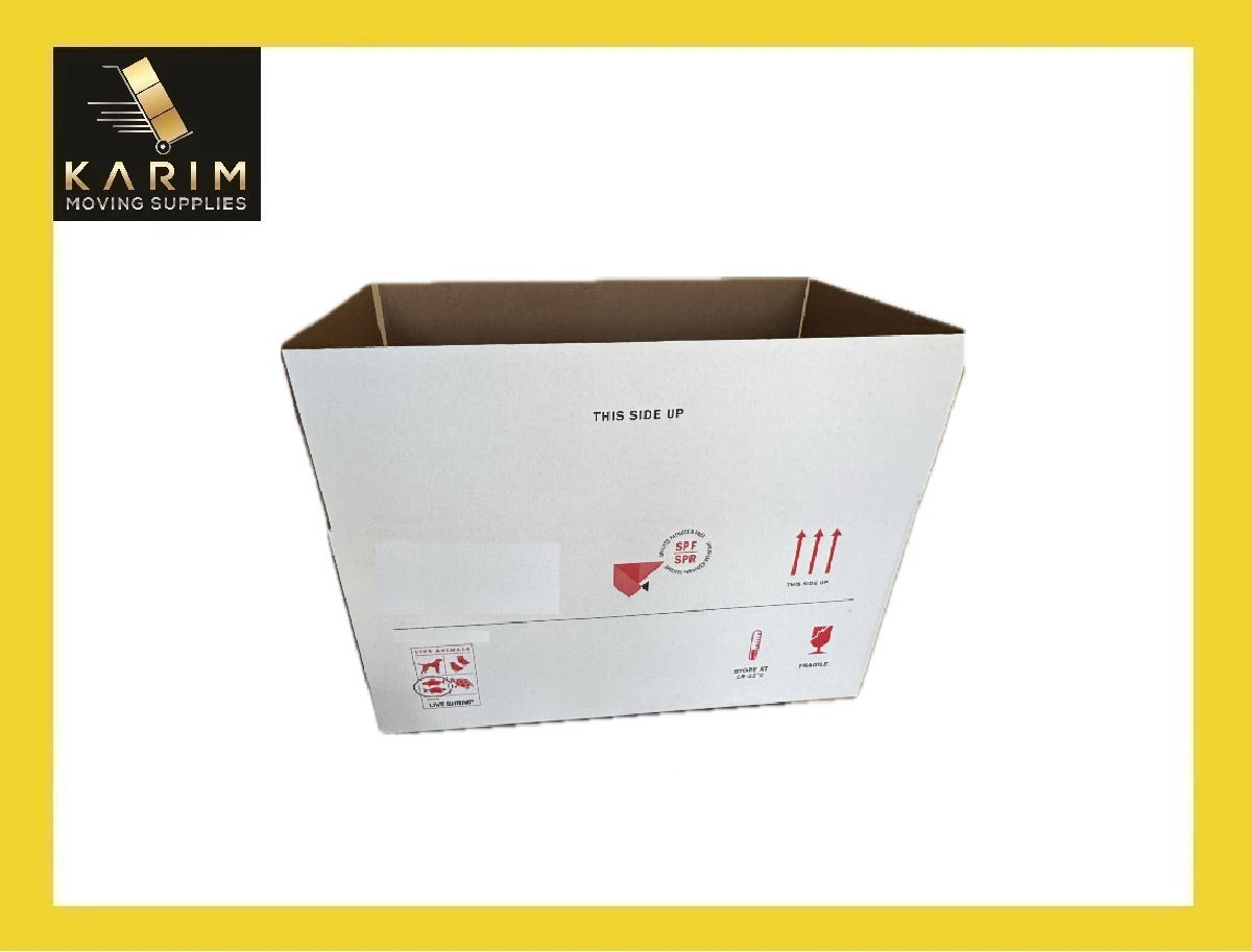 Branded Large Box 4.5 C/F